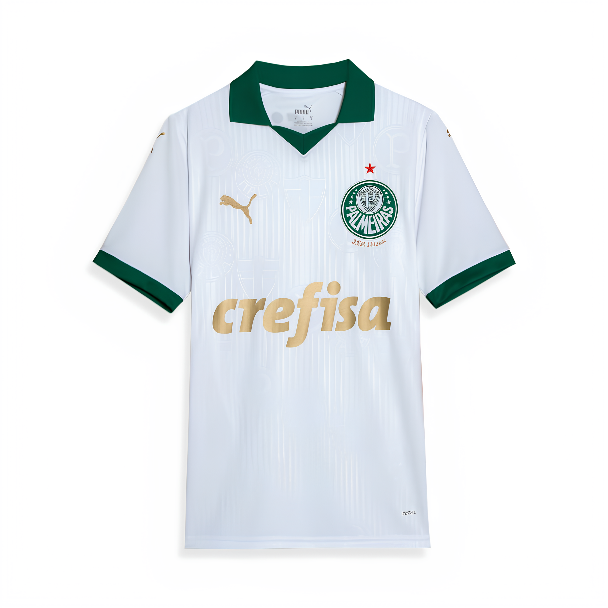 Camisa Palmeiras 2 AWAY Torcedor 24/25